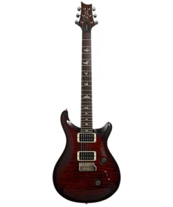 2020 PRS Custom 24 E-Gitarre