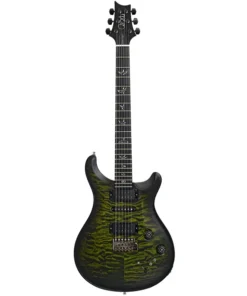 2023 PRS Wood Library Modern Eagle V E-Gitarre