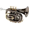 Allora MXPT-5801-BK Black Nickel Series Taschentrompete