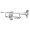 Bach 170 Stradivarius 43 Bell Series Professionelle B-Trompete 