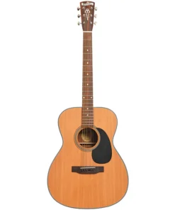 2012 Blueridge BR-43