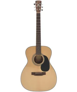 Bristol BM-16 000 Gitarre