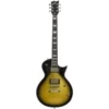 ESP LTD BK-600 E-Gitarre
