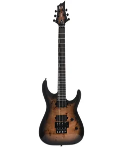 ESP LTD H-1001FR E-Gitarre