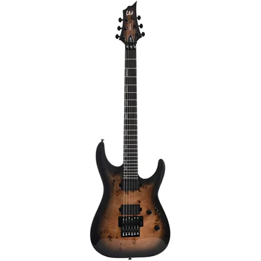 ESP LTD H-1001FR E-Gitarre