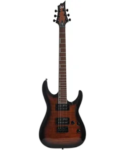 ESP LTD H-200FM E-Gitarre