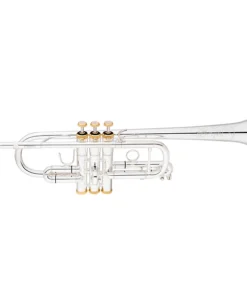 Eastman ETR530GS Advanced Series Trompete