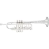 Eastman ETR530S Advanced Series Trompete