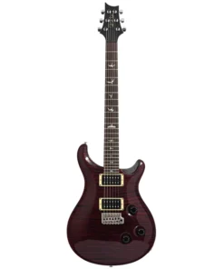 2003 PRS Custom 24 E-Gitarre