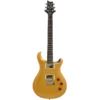 PRS SE DGT E-Gitarre