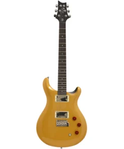 PRS SE DGT E-Gitarre