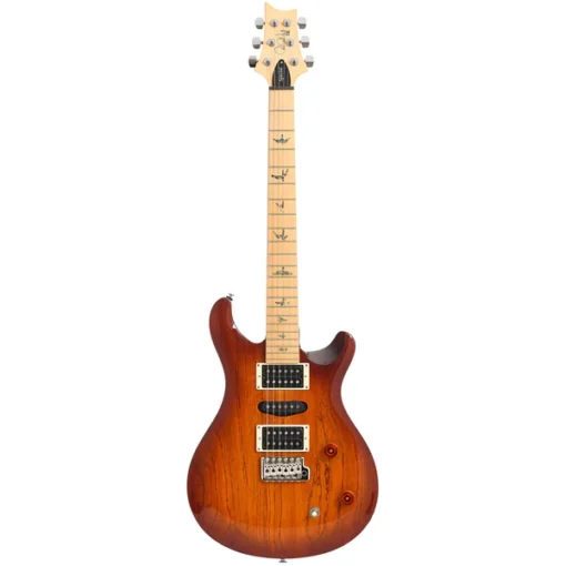 PRS SE Swamp Ash Special E-Gitarre